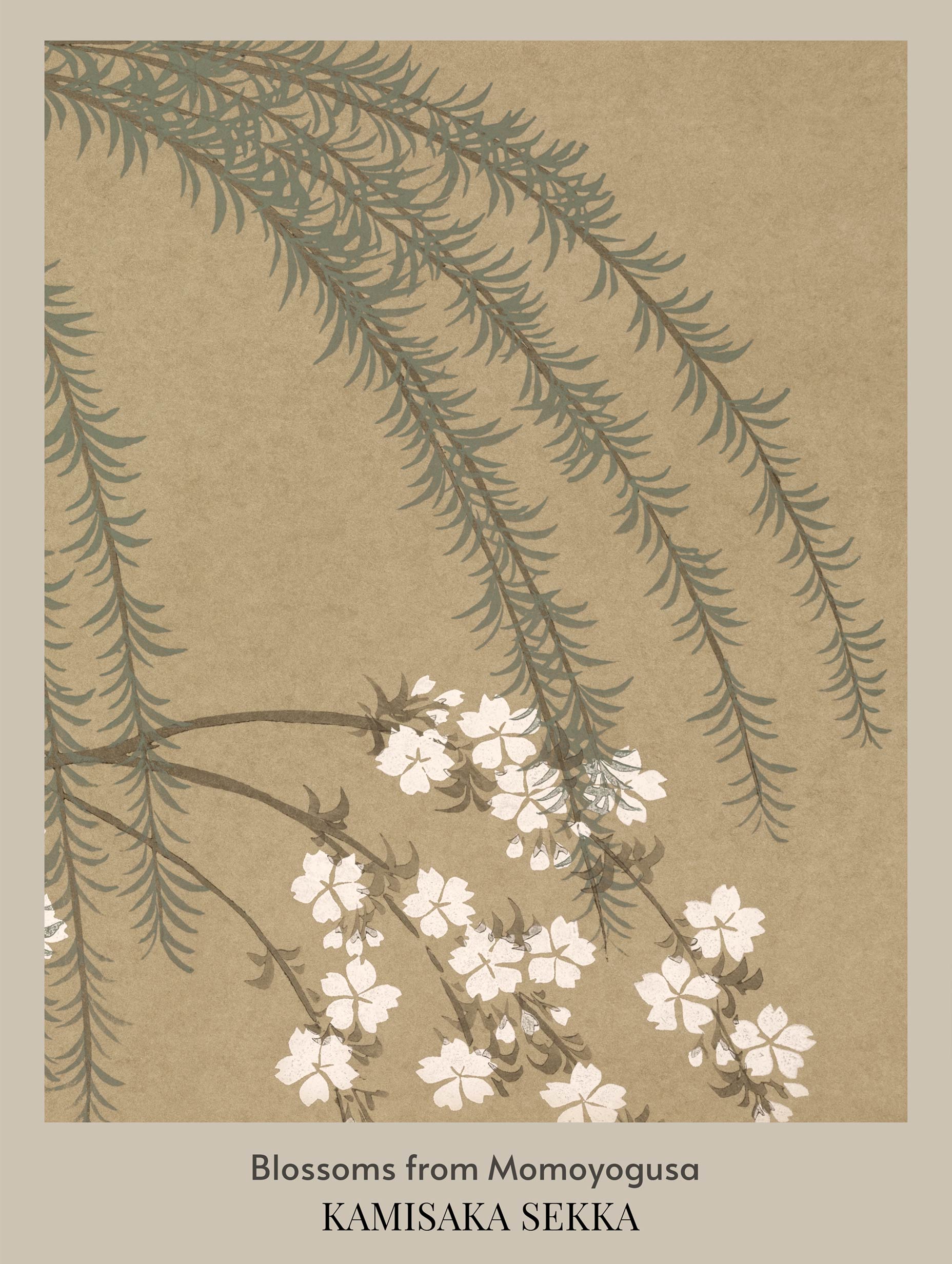 Blossoms from Momoyogusa Kamisaka Sekka Art Print