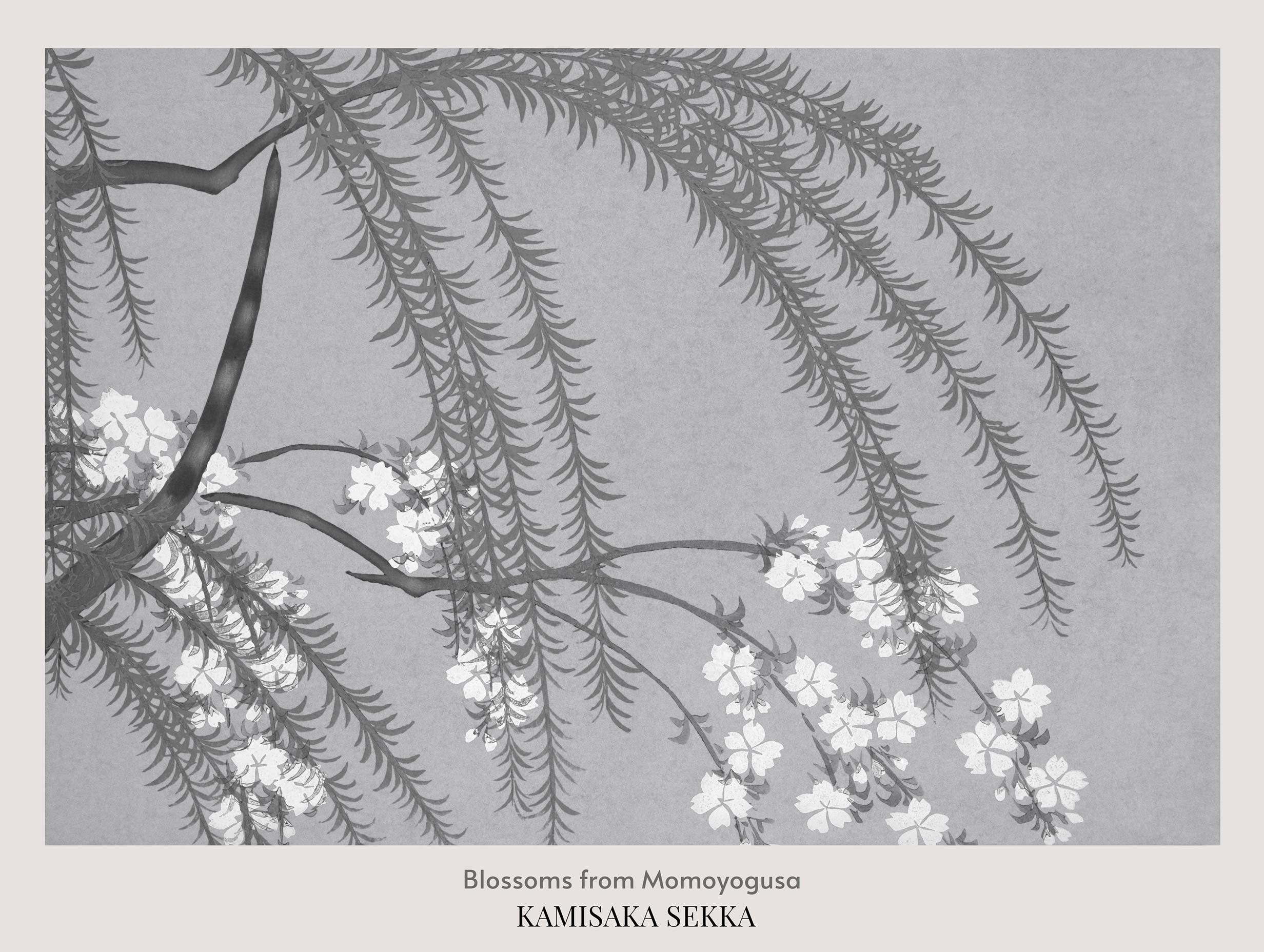 Blossoms from Momoyogusa Kamisaka Sekka Art Print No 2