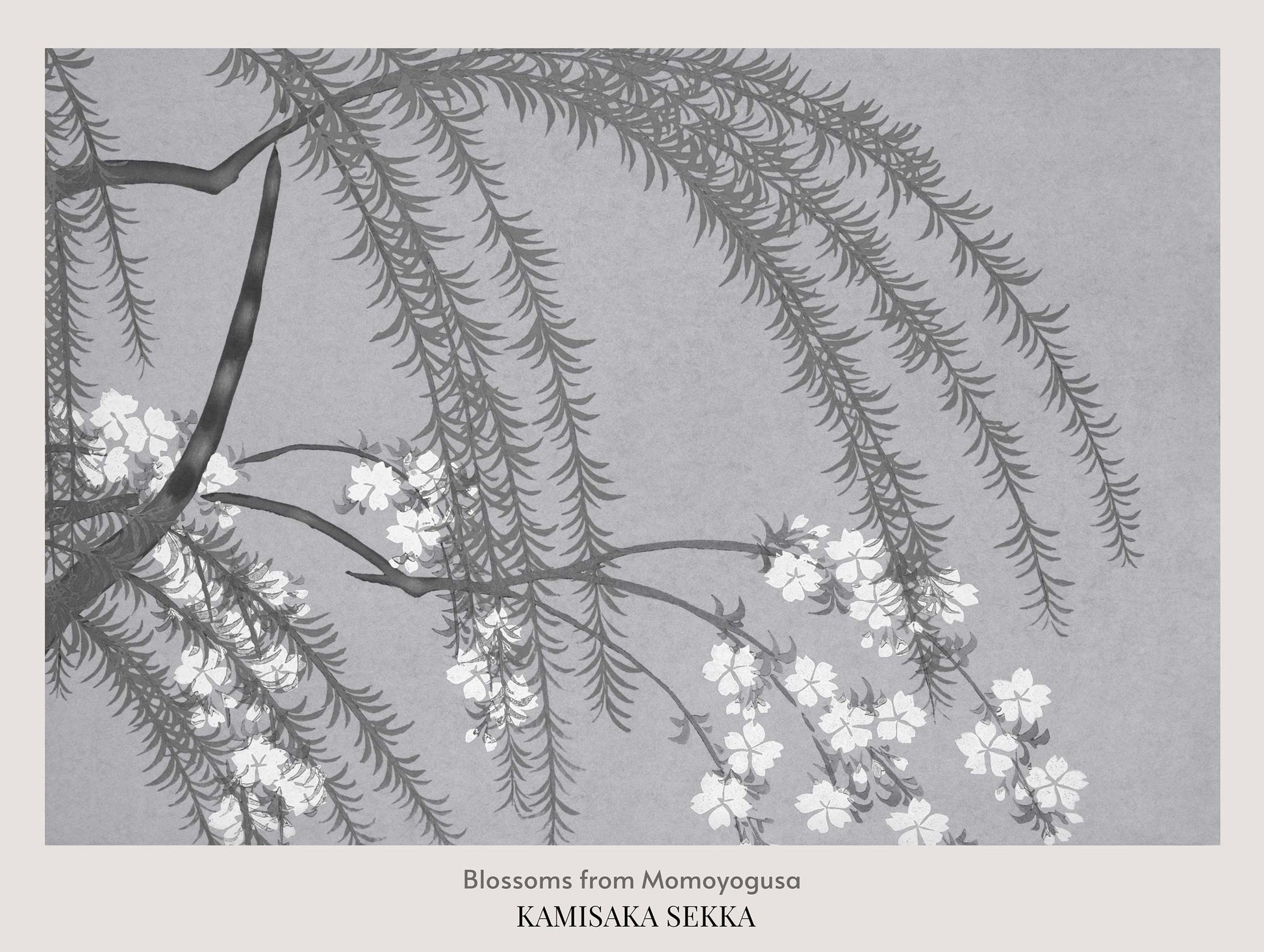 Blossoms from Momoyogusa Kamisaka Sekka Art Print No 2