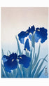 Blue Irises No. 2 - Ohara Koson