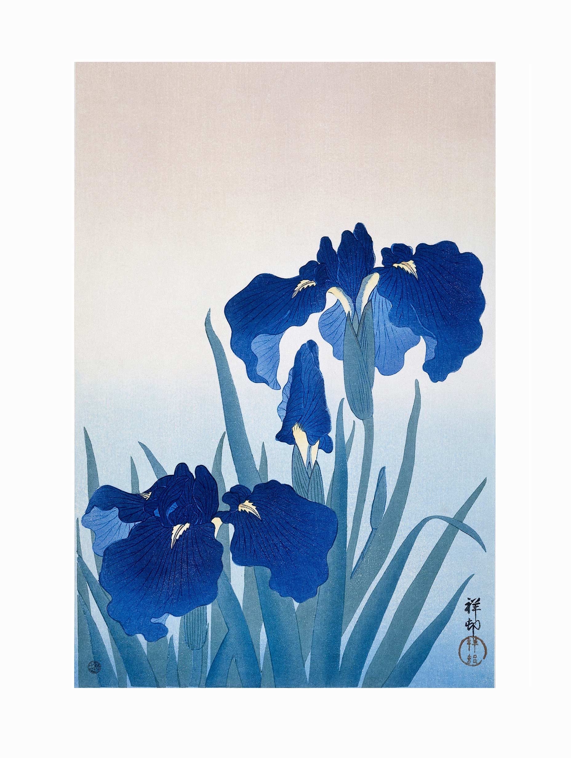 Blue Irises No. 2 - Ohara Koson