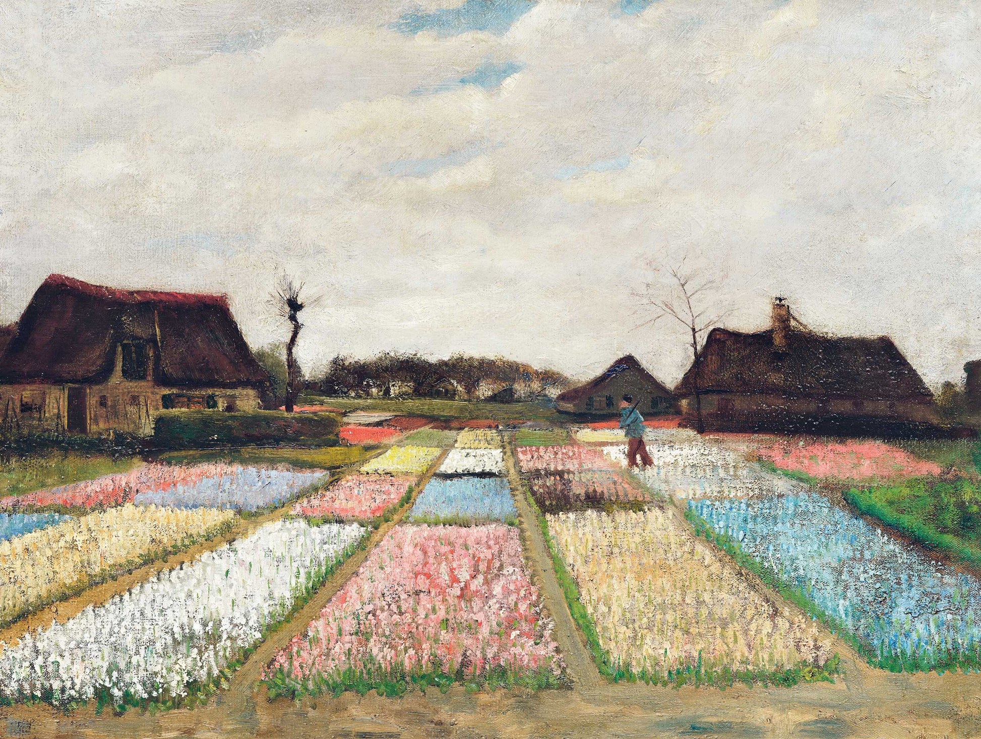 Bulb Fields - Van Gogh