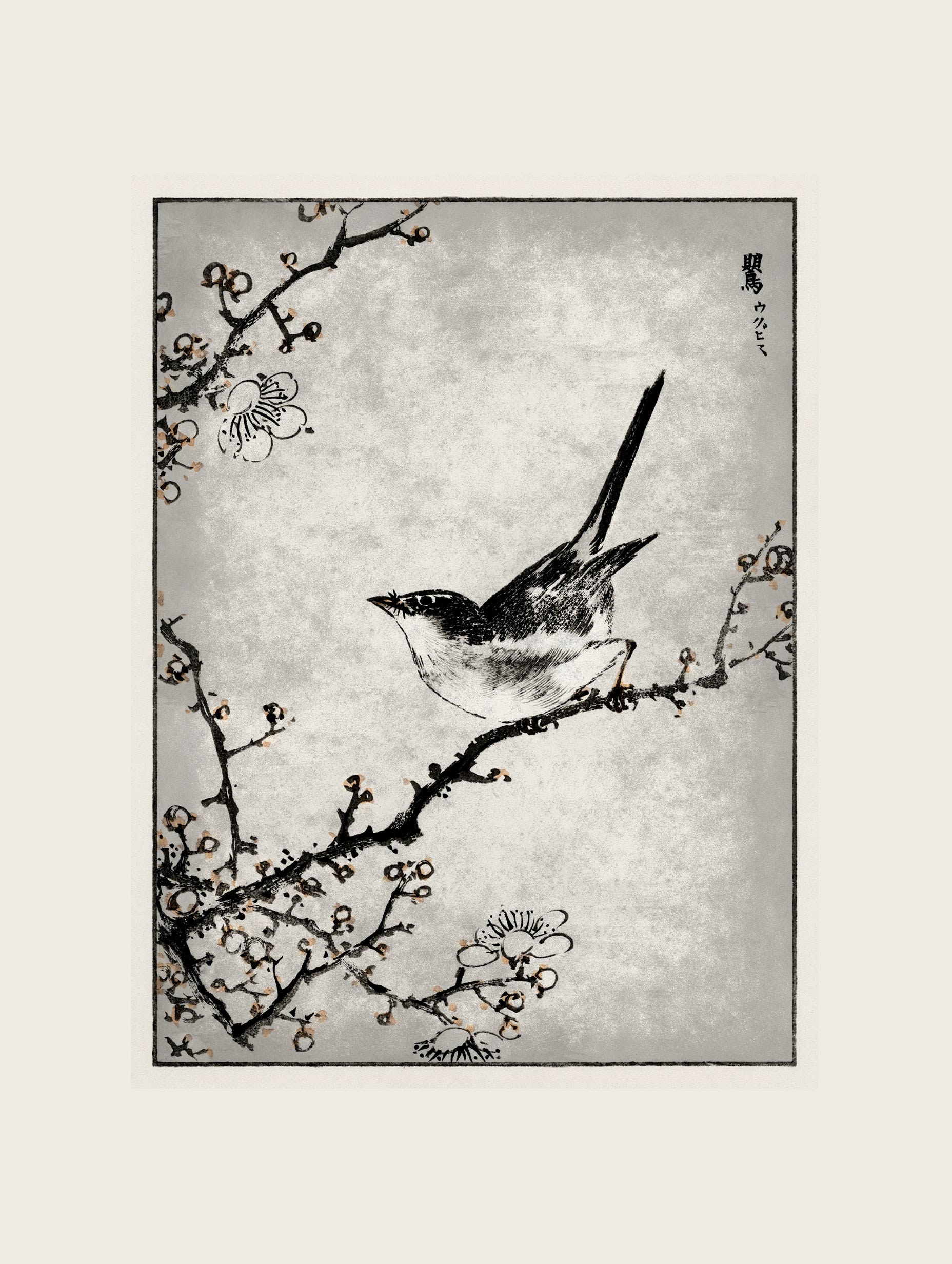 Bush warbler and White Plum Tree Numata Kashu Art Print
