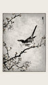 Bush warbler and White Plum Tree Numata Kashu Art Print