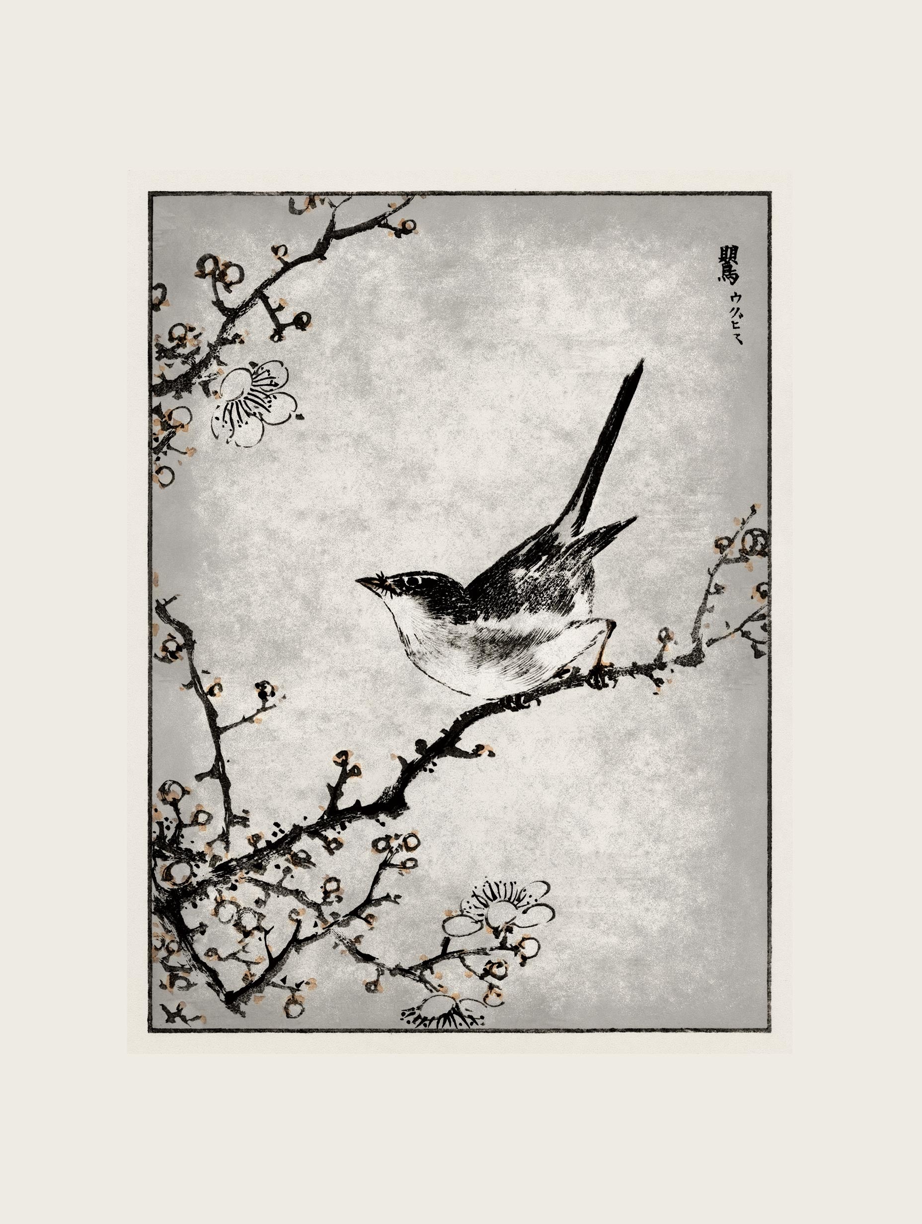 Bush warbler and White Plum Tree Numata Kashu Art Print