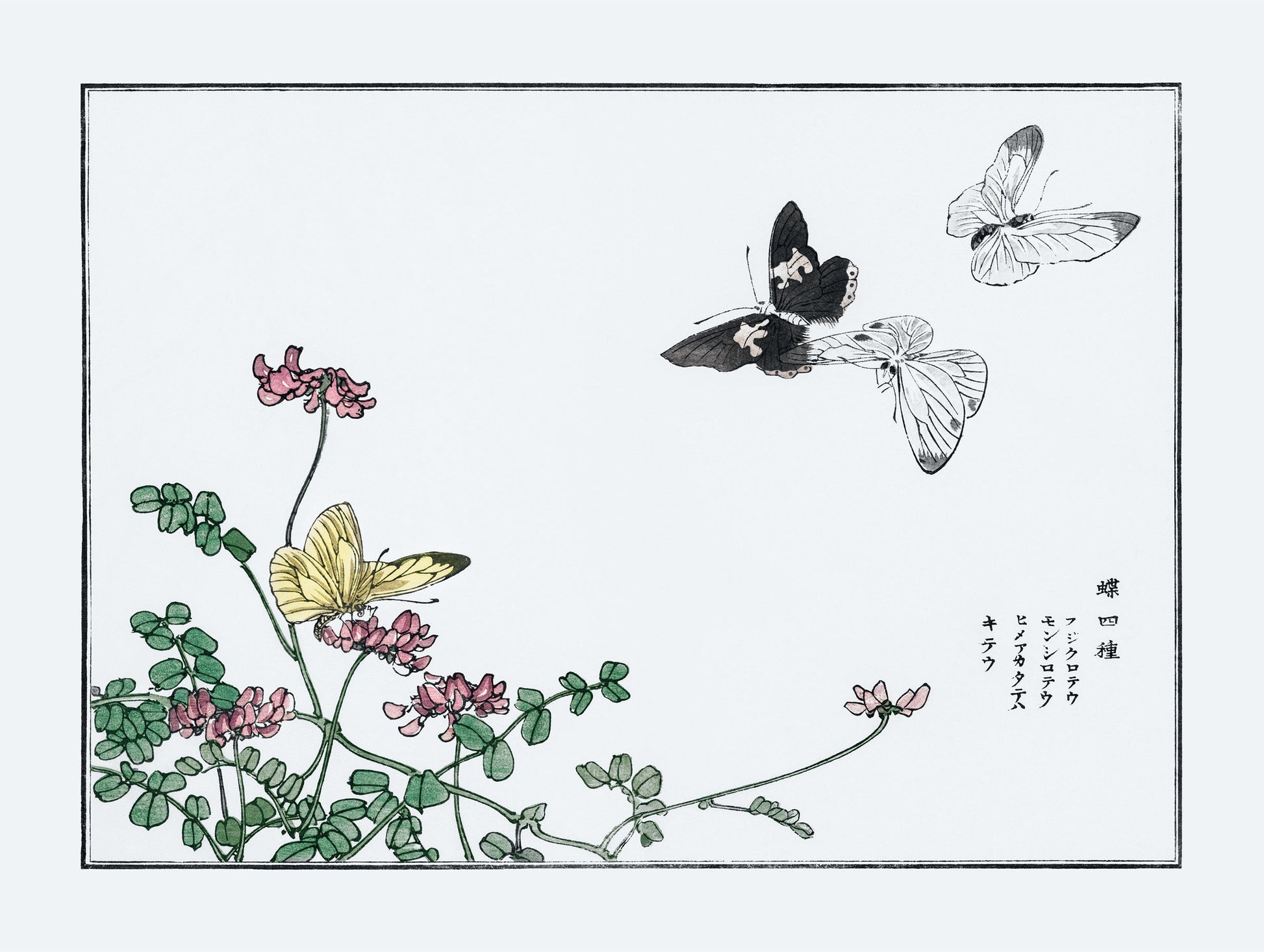 Butterflies and Flower - Morimoto Toko