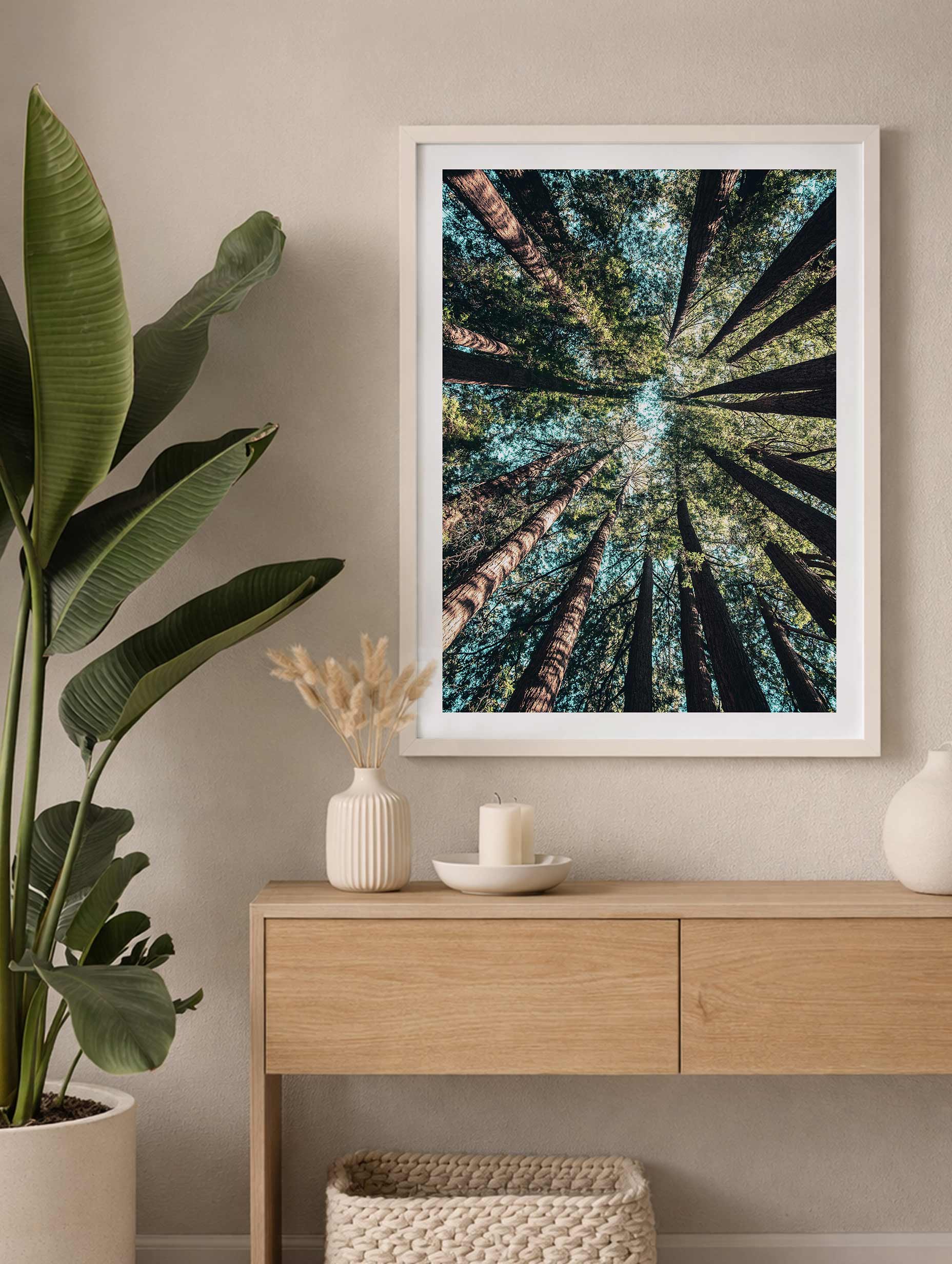 California Redwood Poster Mockup
