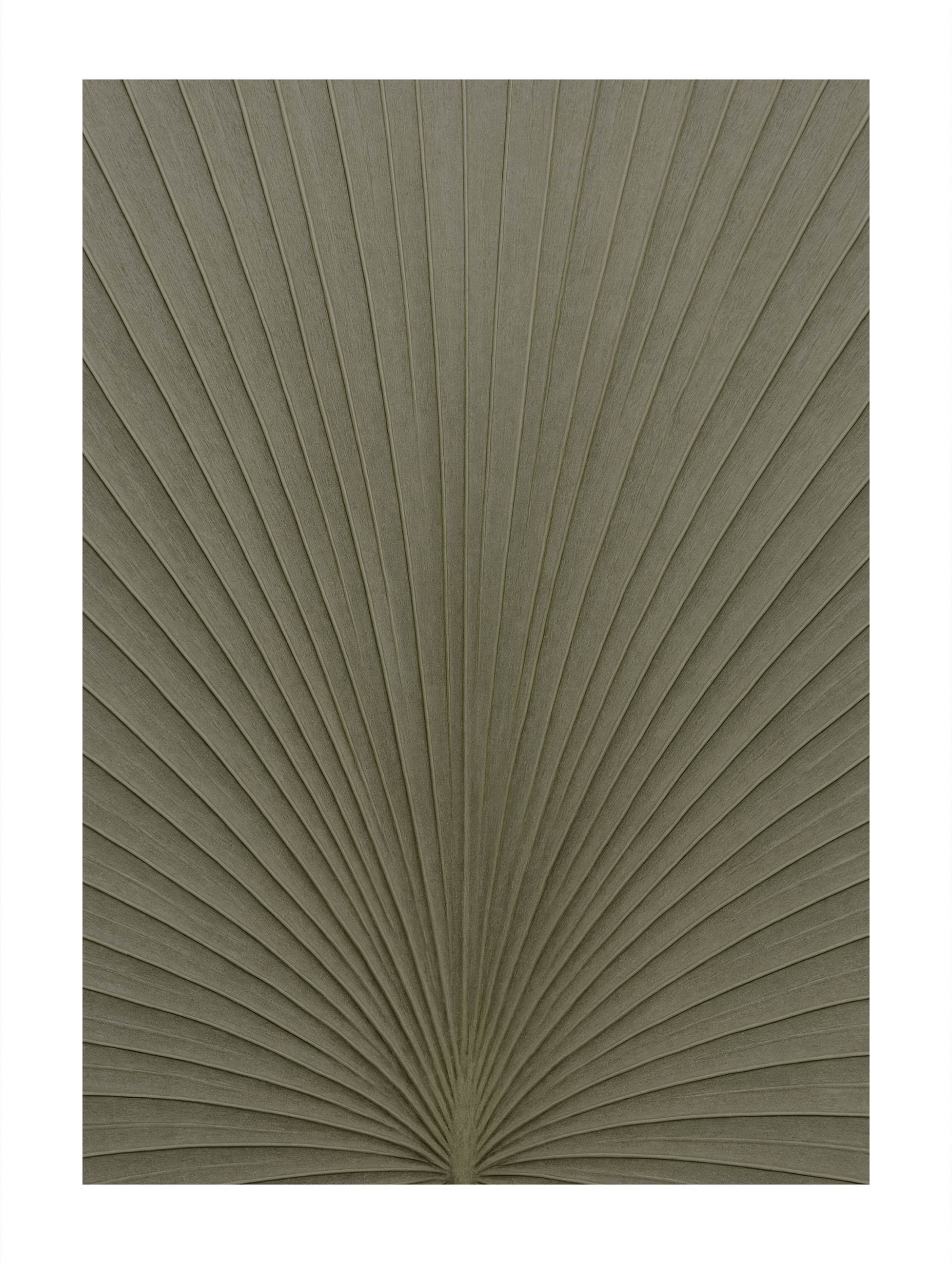 Casadeco Semiramis Leaf Art Print