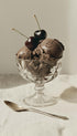 Chocolate Cherry Ice Cream Food Artwork