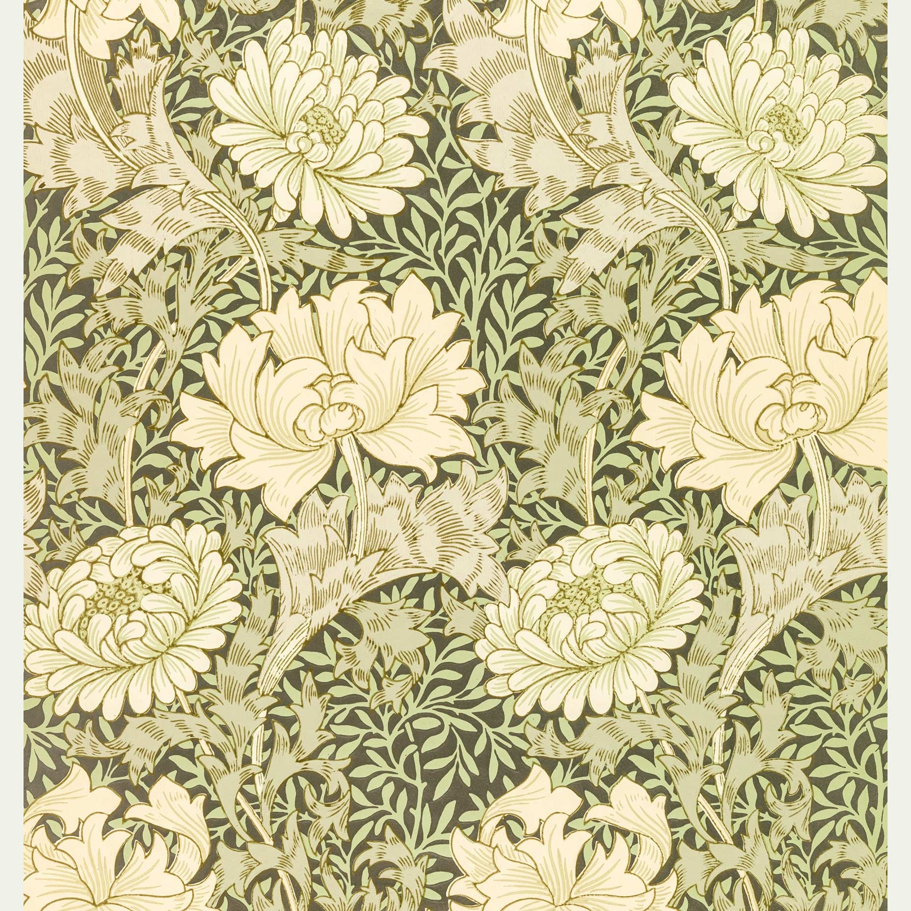 Chrysanthemum - William Morris