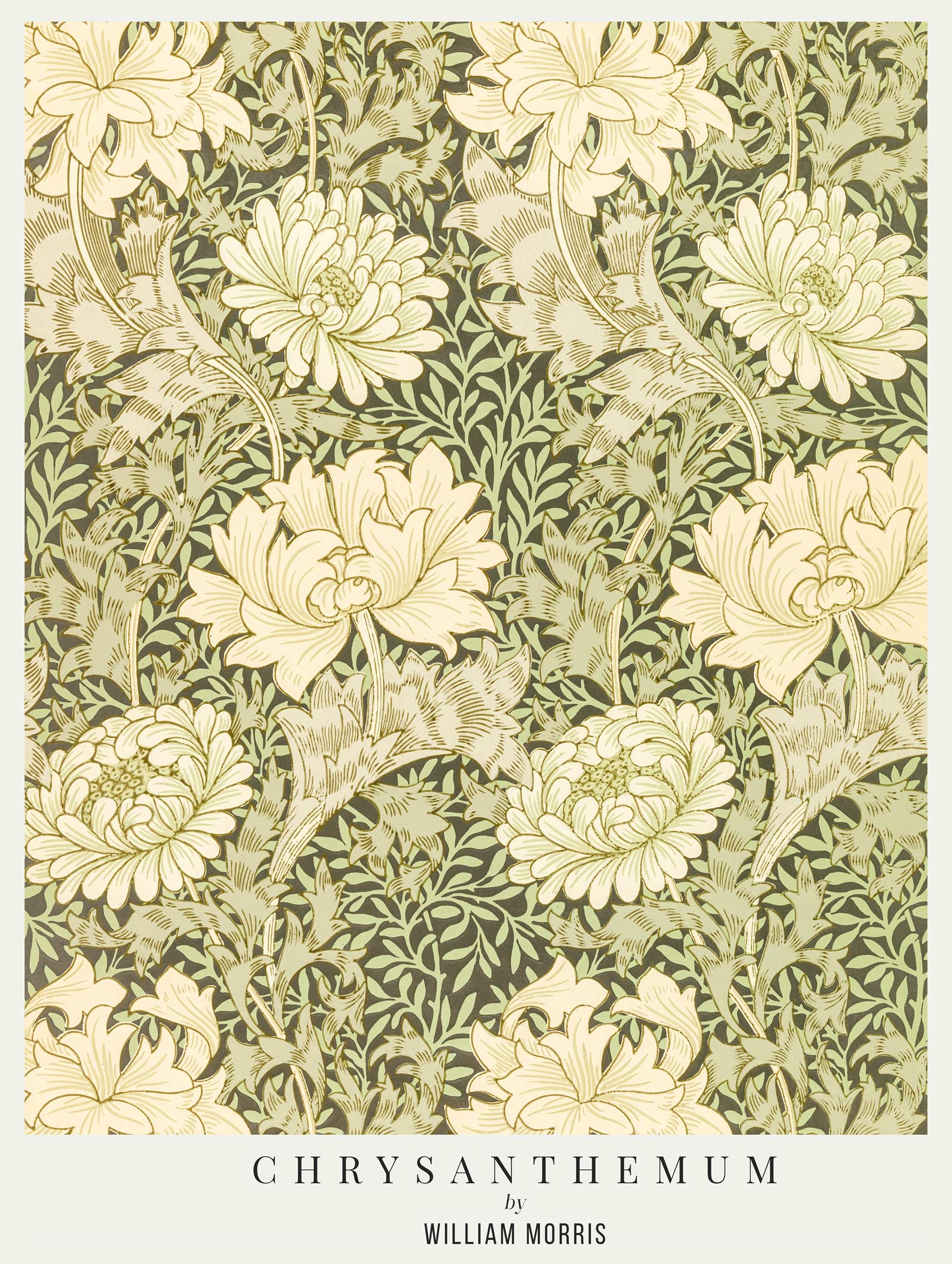 Chrysanthemum - William Morris