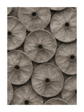 Circular Pattern Abstract Poster