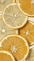 Citrus Fruit Slices Artwork