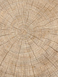 Cracked Wooden Log