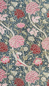 Cray - William Morris Art Print