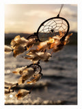 Dream Catcher Poster