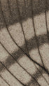 Dried Leaf Patterns Art Print