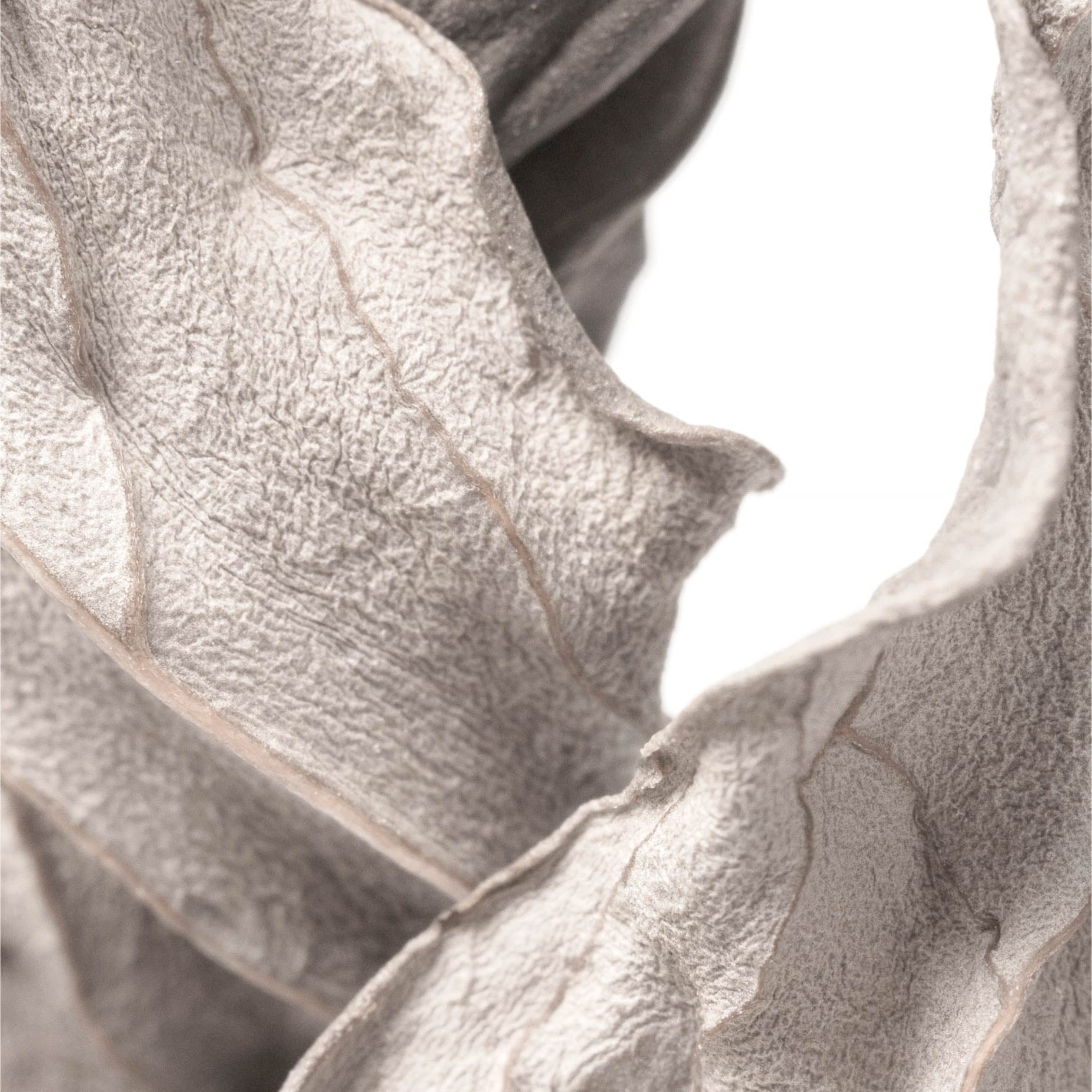 Dry Leaf Texture Botanical Poster