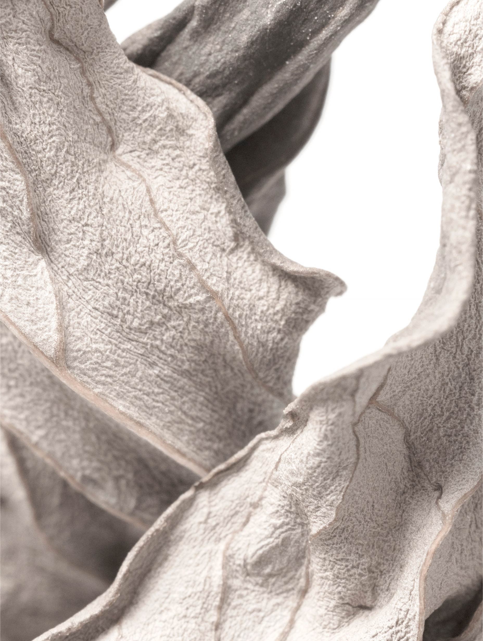 Dry Leaf Texture Botanical Poster