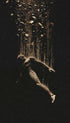 Falling Light Illustration Poster