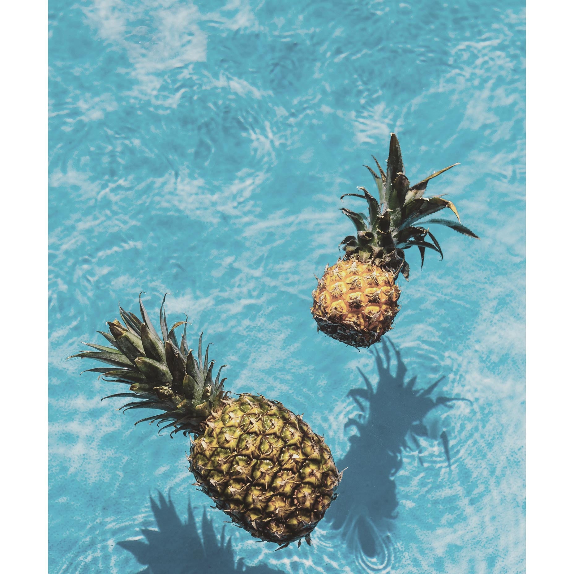 Floating Pineapples Fruit Artwork
