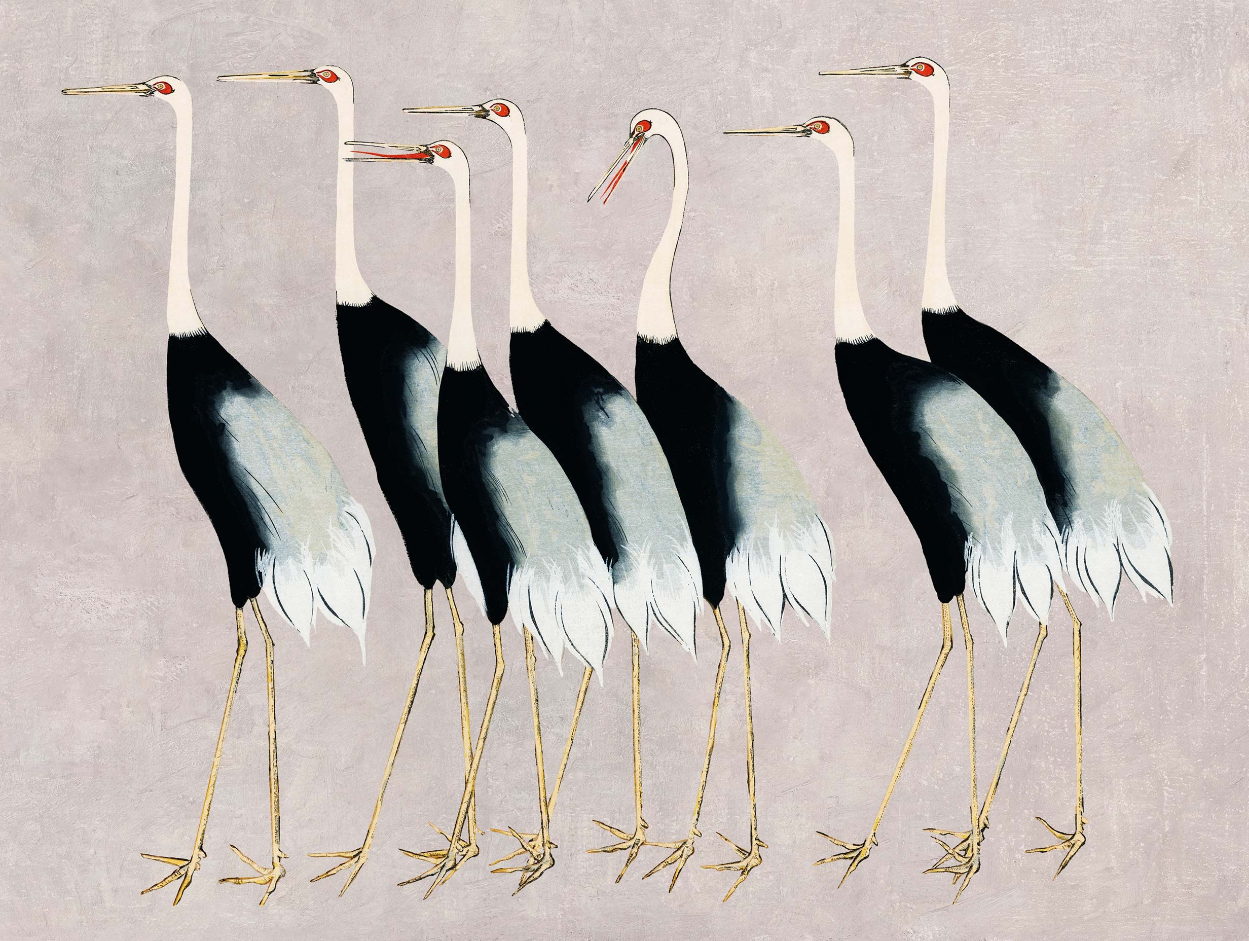 Flock of Japanese Red Crown Cranes Ogata Kōrin Art Print
