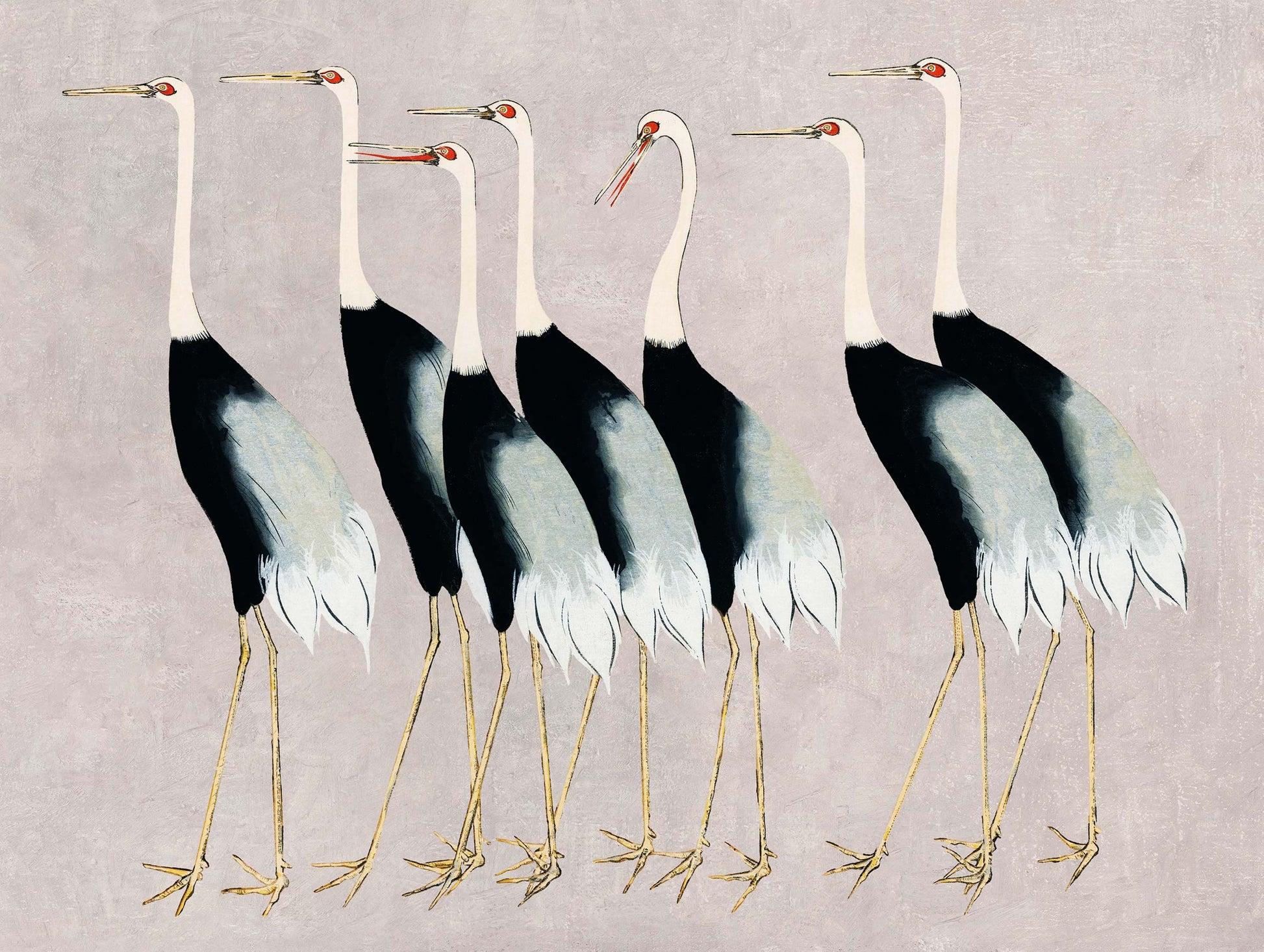 Flock of Japanese Red Crown Cranes Ogata Kōrin Art Print