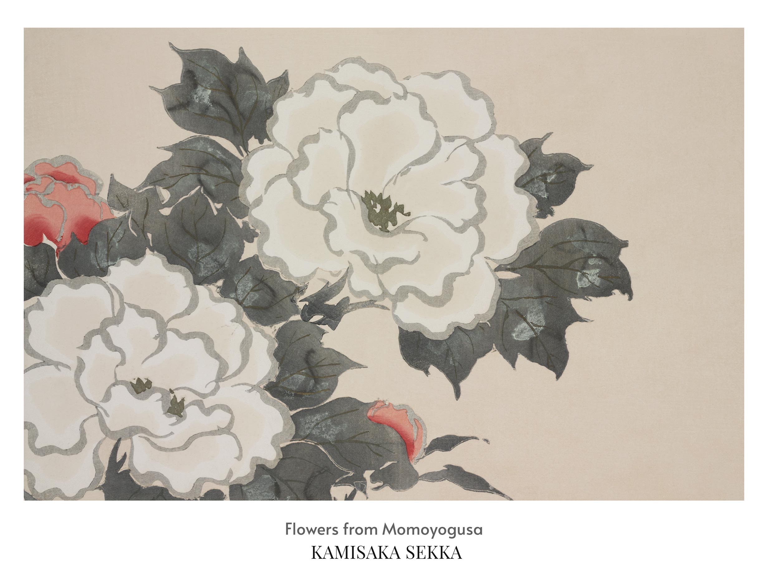 Flowers from Momoyogusa Kamisaka Sekka Art Print