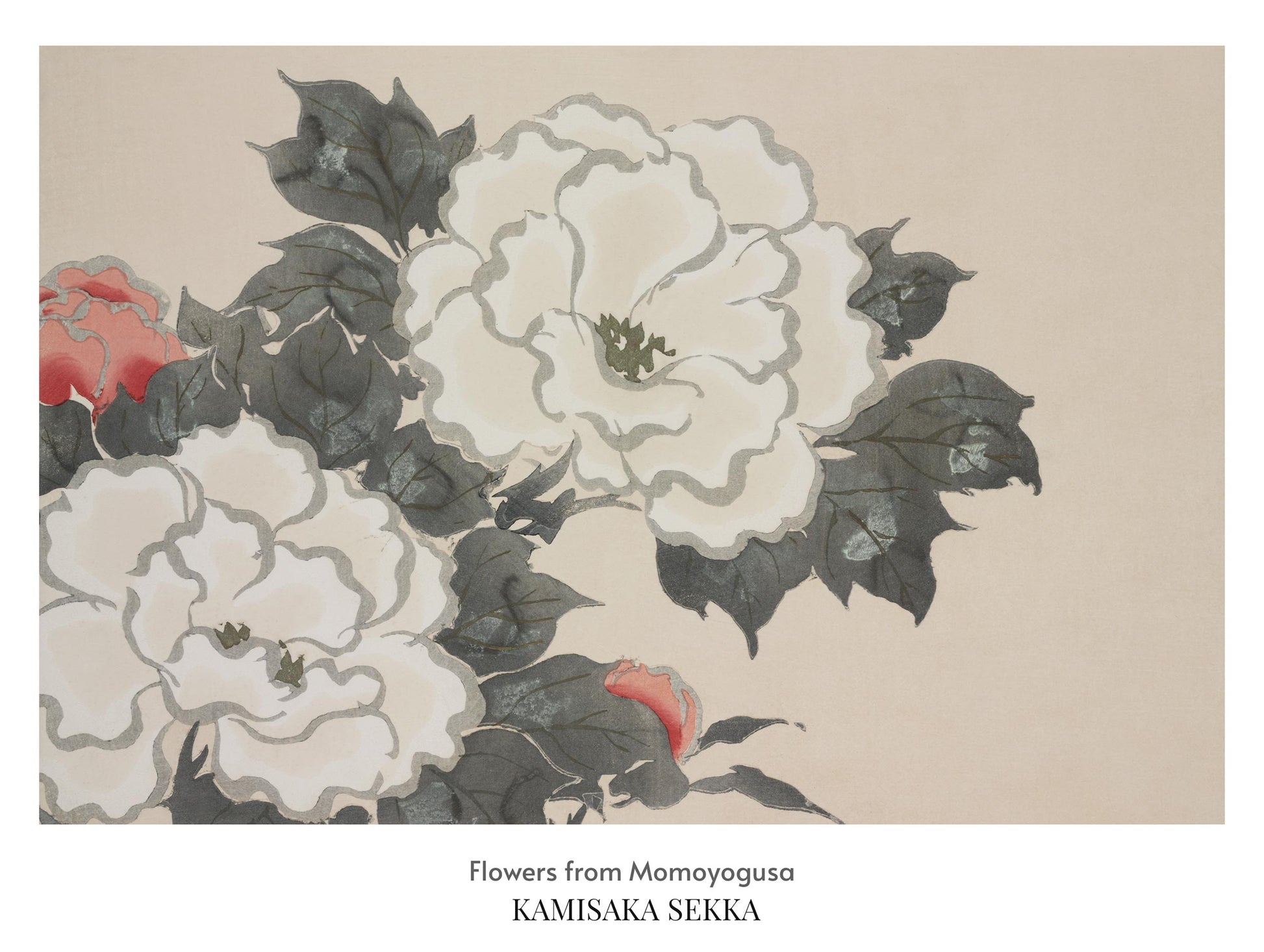 Flowers from Momoyogusa Kamisaka Sekka Art Print