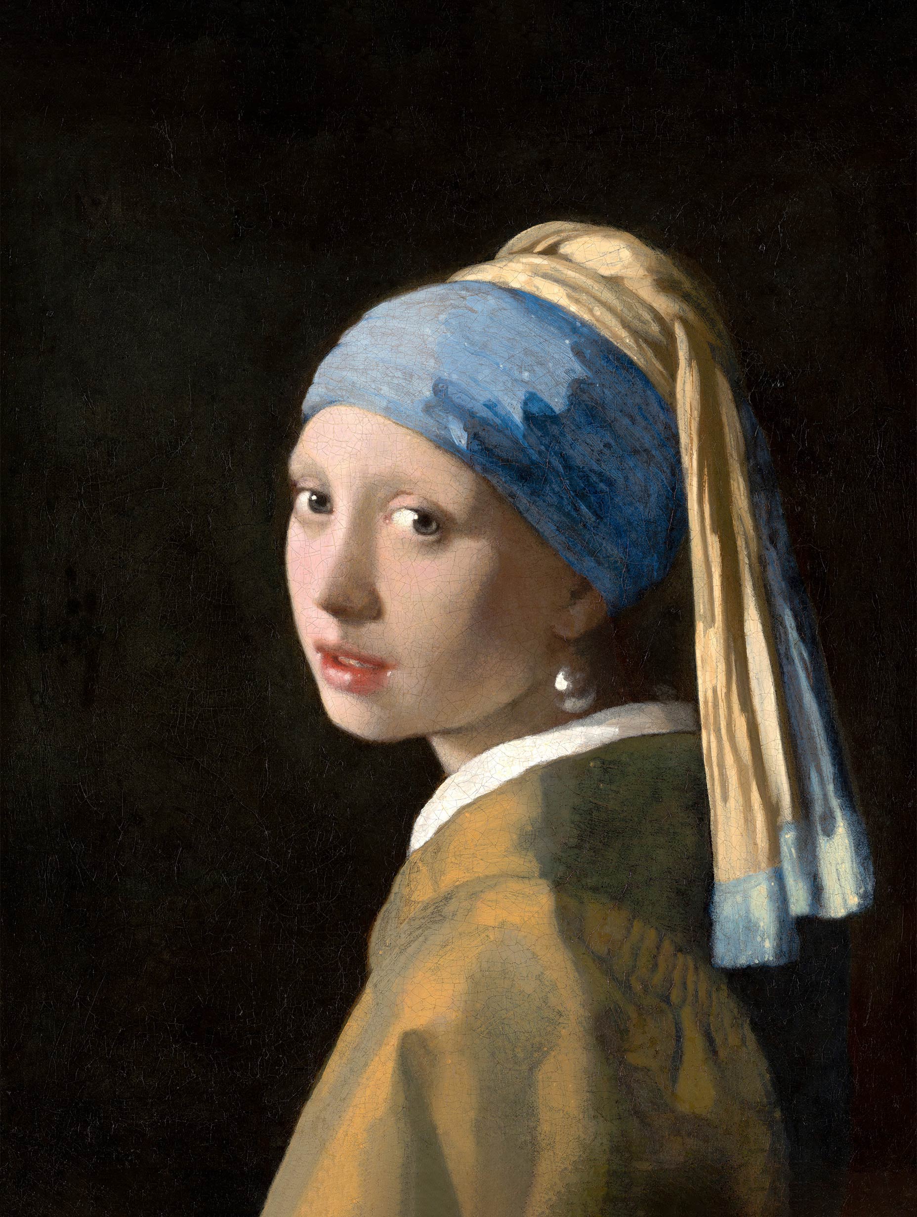 Girl with a Pearl Earring Johannes Vermeer Art Print