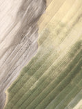 Goss’s Bacterial Wilt and Blight Botanical Poster