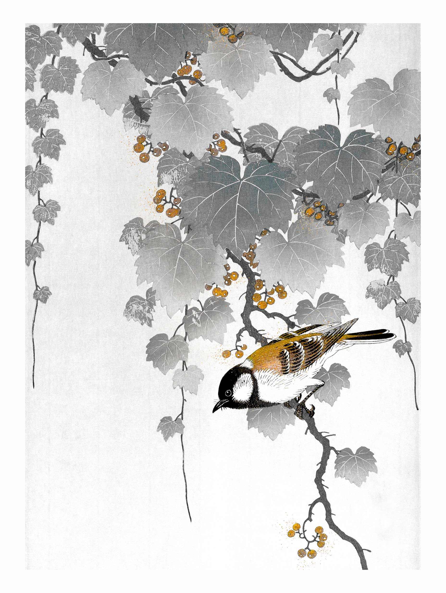 Great Tit on Paulownia Branch - Ohara Koson