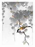 Great Tit on Paulownia Branch - Ohara Koson