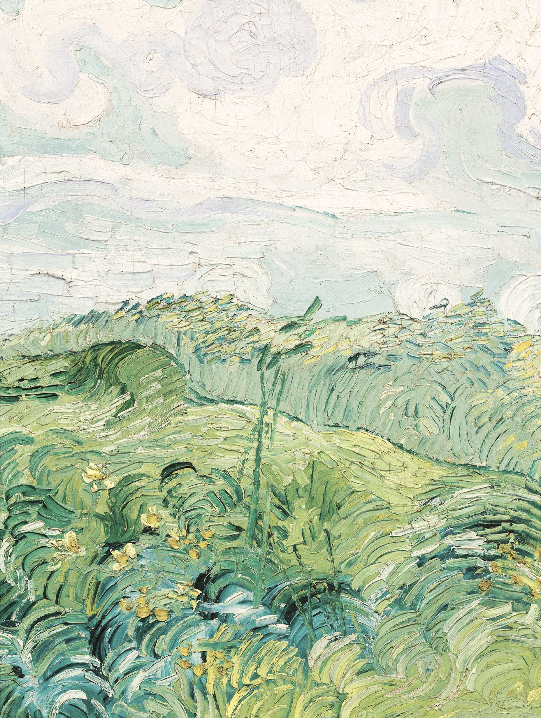 Green Wheat Fields Van Gogh Art Print