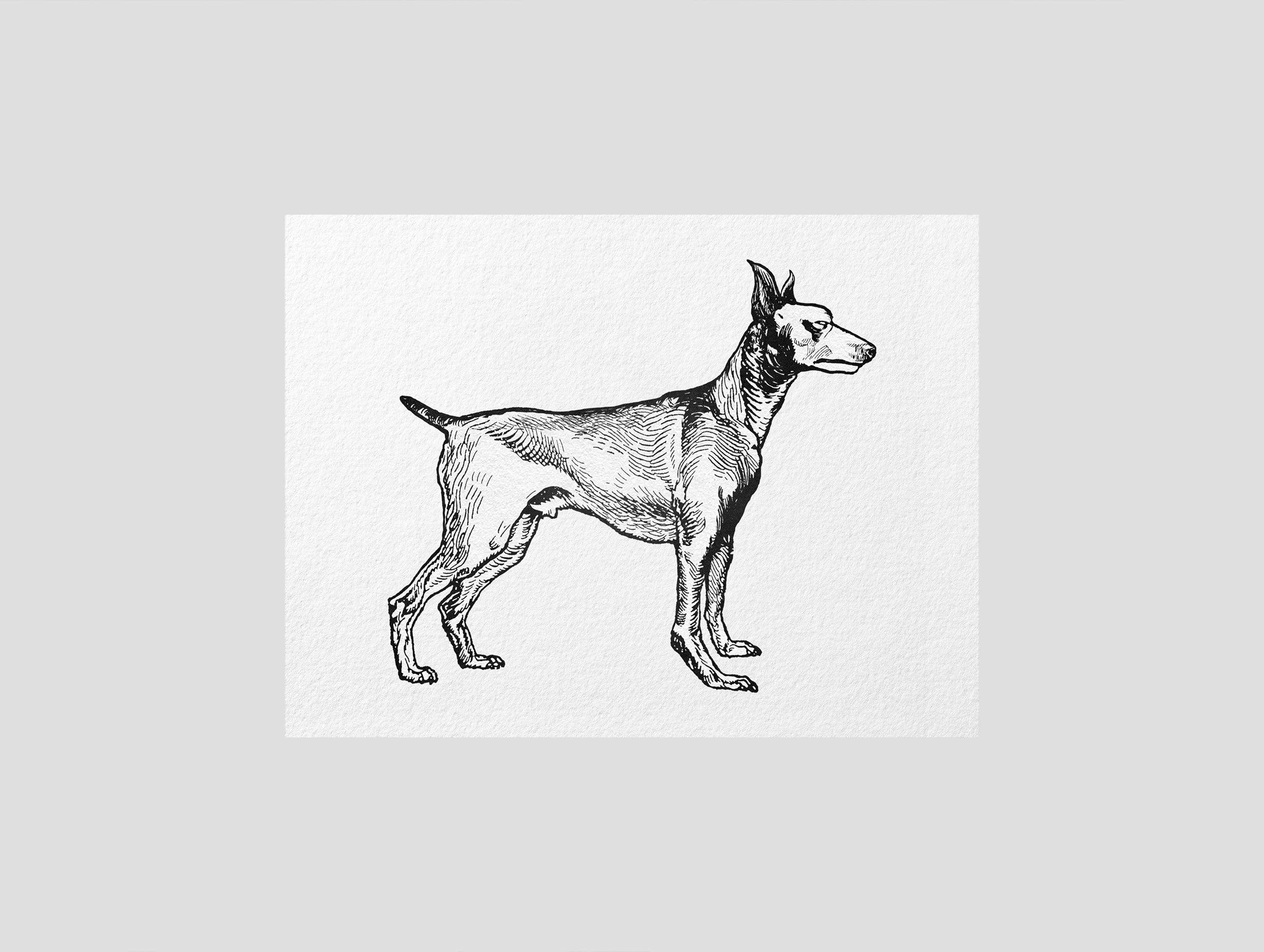 Greyhound Dog Animal Poster