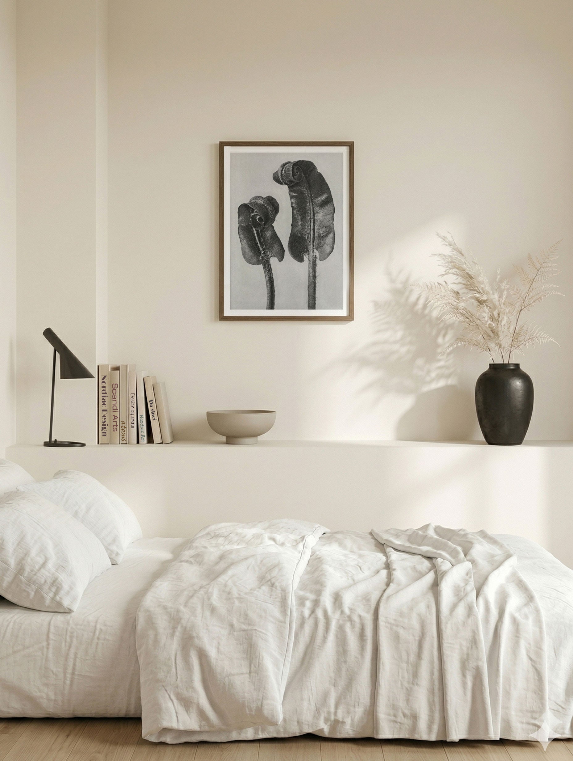 Hart's-Tongue Fern – Karl Blossfeldt