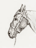 Head of a Horse - Jean Bernard