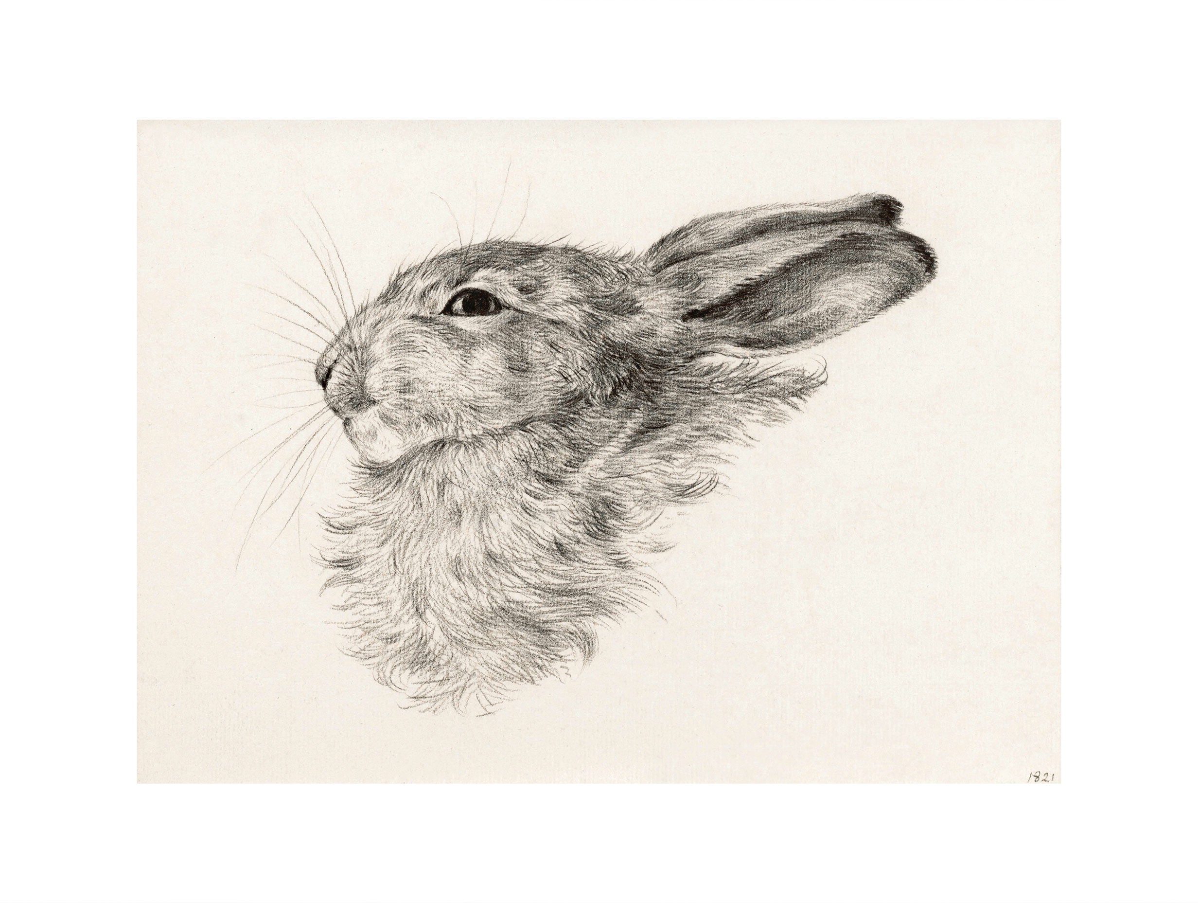 Head of a rabbit Jean Bernard Art Print