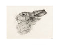Head of a rabbit Jean Bernard Art Print