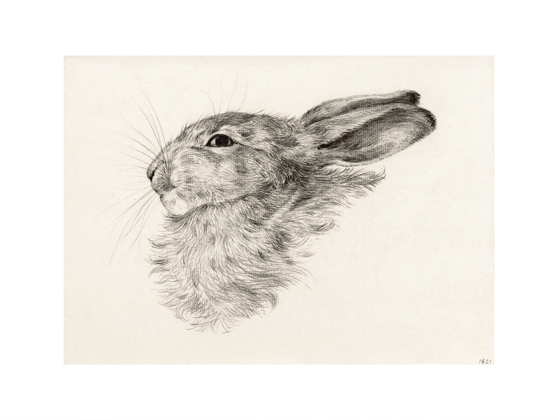 Head of a rabbit Jean Bernard Art Print