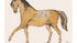 Horse Drawing Johannes Tavenraat Animal Art Print