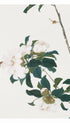 Insects and Flowers - Ju Lian