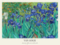 Irises - Van Gogh Art Print