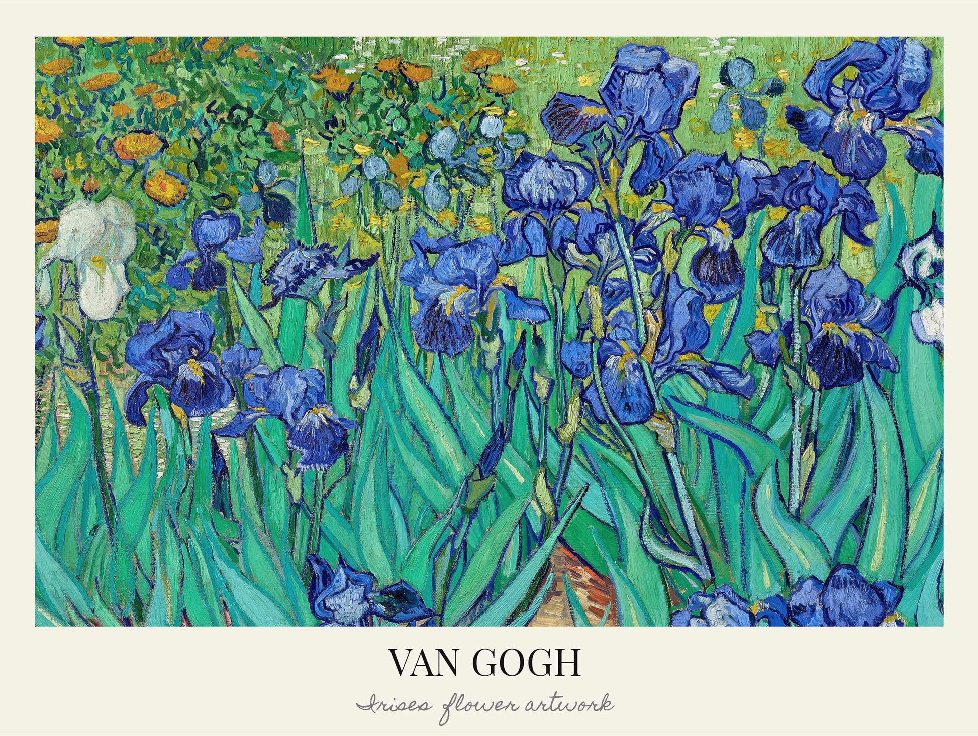 Irises - Van Gogh Art Print