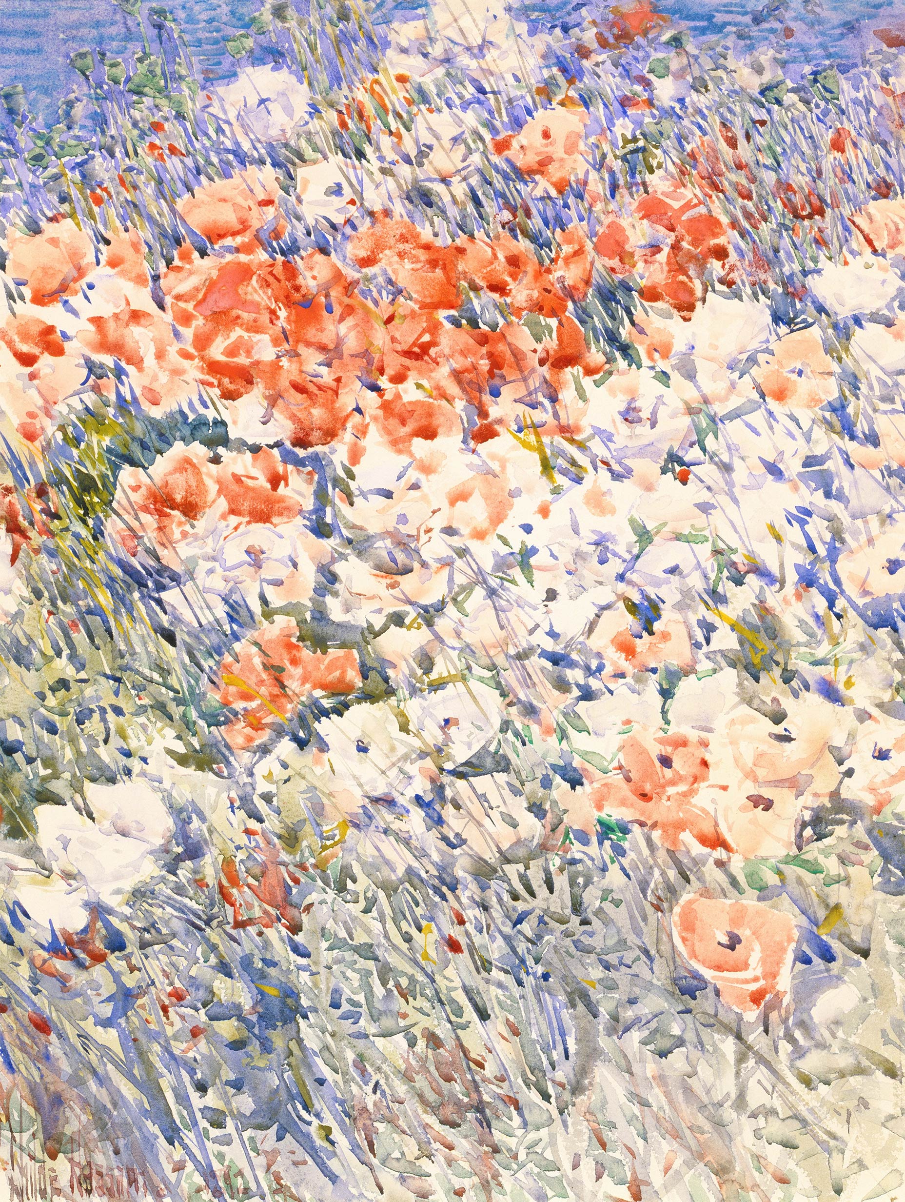 The Island Garden Flower Art Print