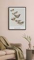 Japanese Butterfly - Kamisaka Sekka Art Print No 2 Mockup