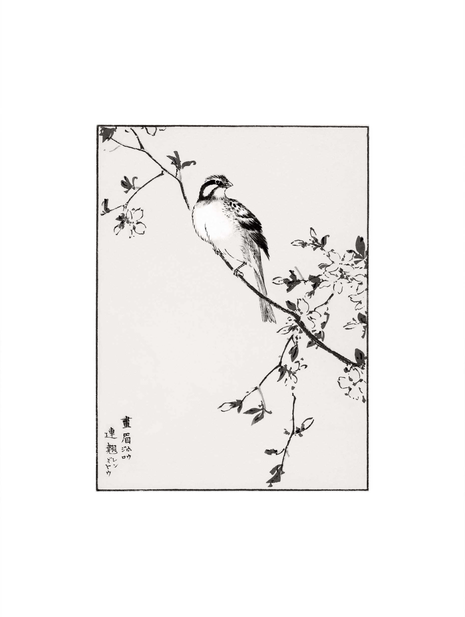 Japanese Meadow Bunting and Golden Ball Numata Kashu Art Print