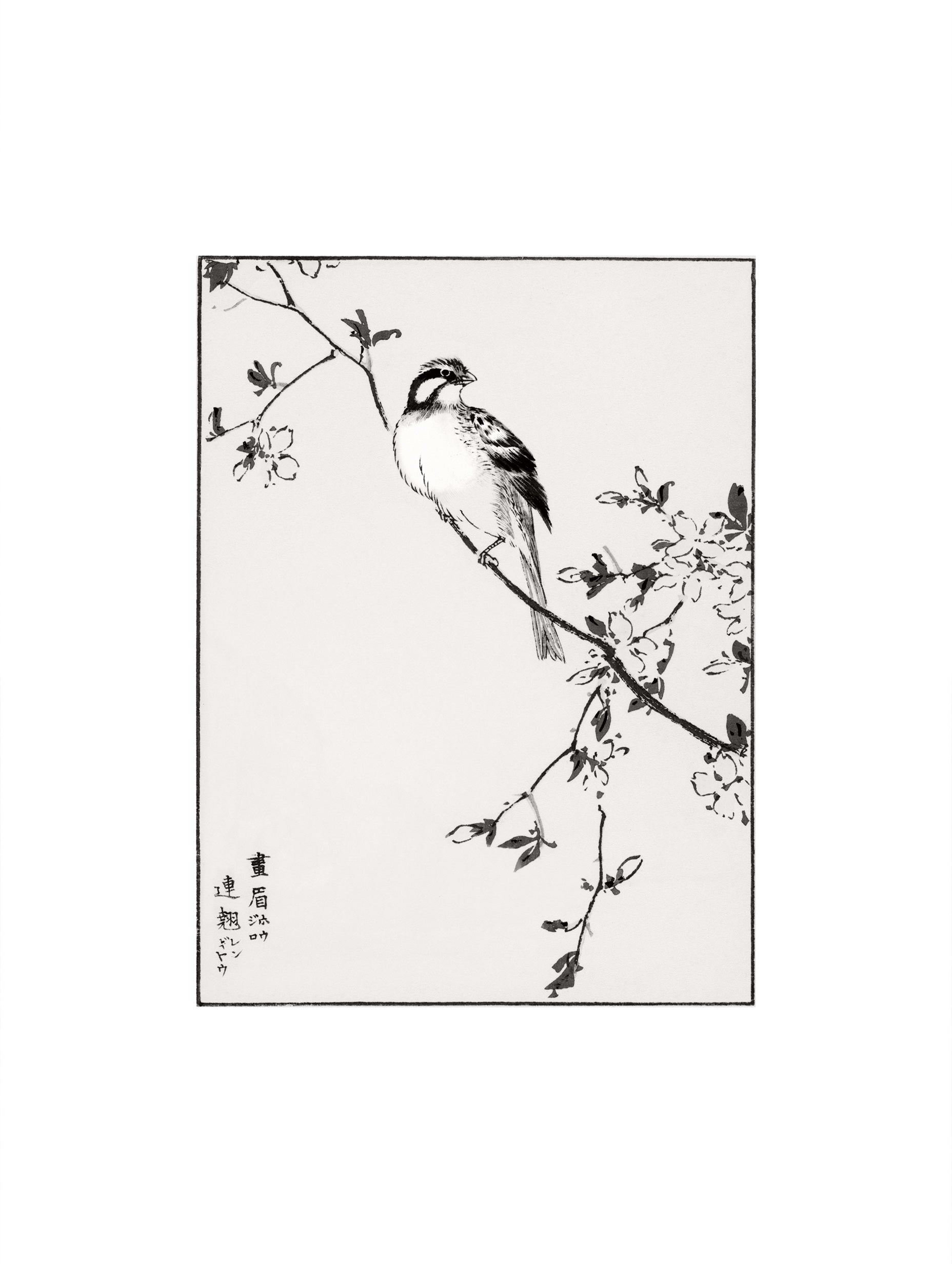 Japanese Meadow Bunting and Golden Ball Numata Kashu Art Print