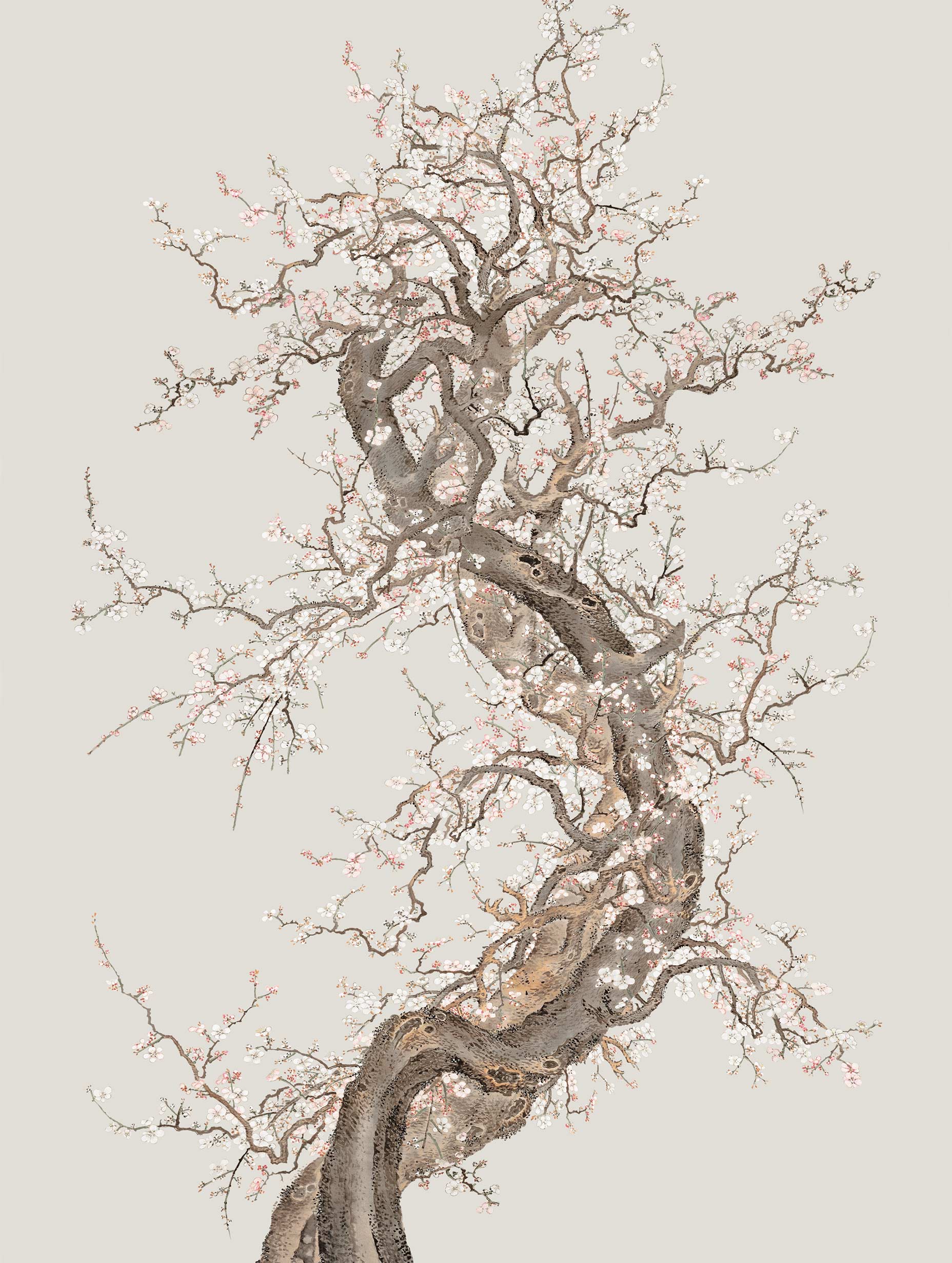 Japanese Plum Blossom Poster