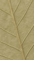 Leaf Texture Botanical Poster